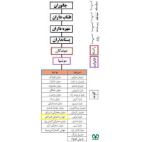 گونه موش صحرایی هیرکانی Hyrcanian Filed Mouse